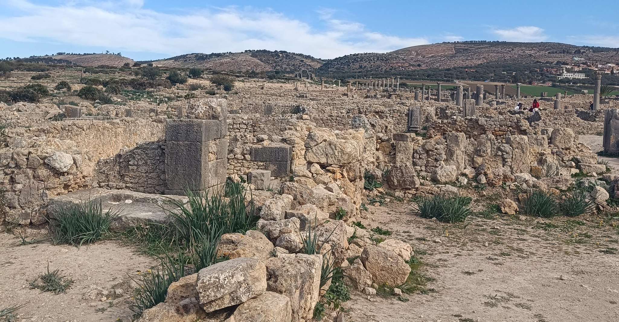 Meknes, Moulay Idriss y Voulibilis, Excursión desde Fez - Housity