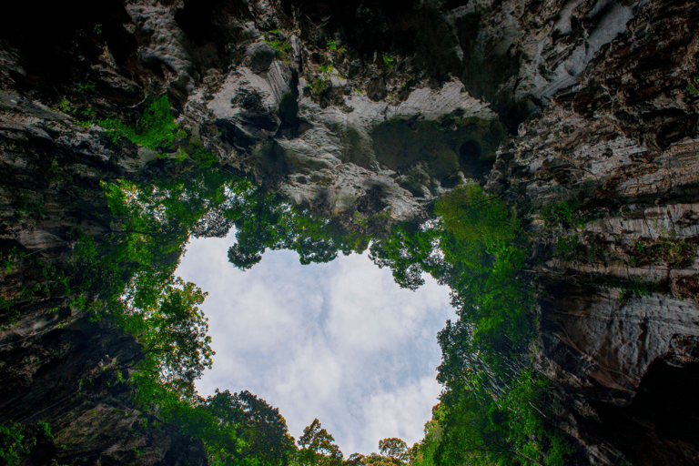 Kuala Lumpur: Batu Caves, Temples and Banana Leaf Rice Tour Shared Tour