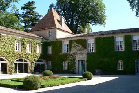 Médoc: tour enologico di 1 giorno
