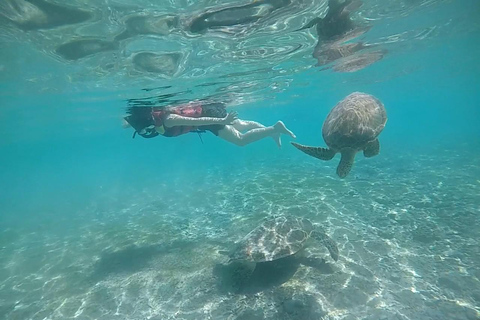 Private Snorkeling Tour GoPro Footage Costumize Tour Snorkeling Gili Trawangan, Gili Meno and Gili Air with GoPro