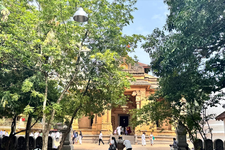 From Negombo: Kelaniya Rajamaha Vihara Guided Temple Tour