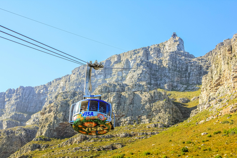 10 Daagse reis van Kaapstad naar het Krugerpark: ALL INCLUSIVE RONDREIS