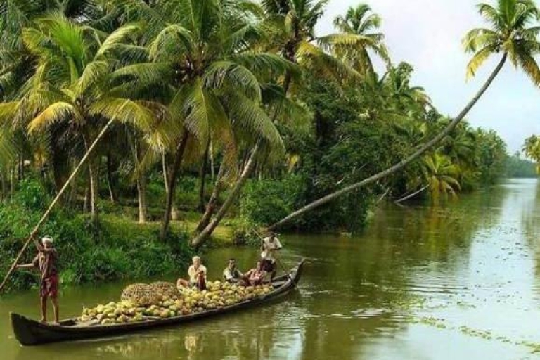 Alleppey / Alappuzha Backwater Canoe (Shikara) CruisePrivétour met pick-up van Cochin Port