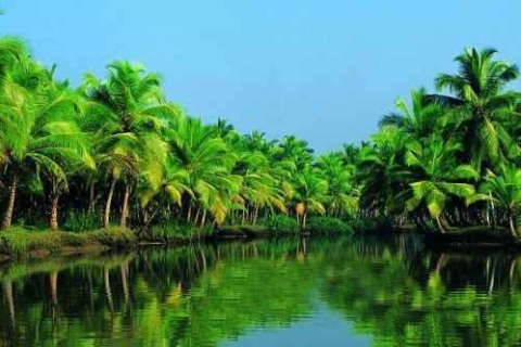 Alleppey/Alappuzha Backwaters : croisière en canoé ShikaraVisite privée avec prise en charge au port de Cochin