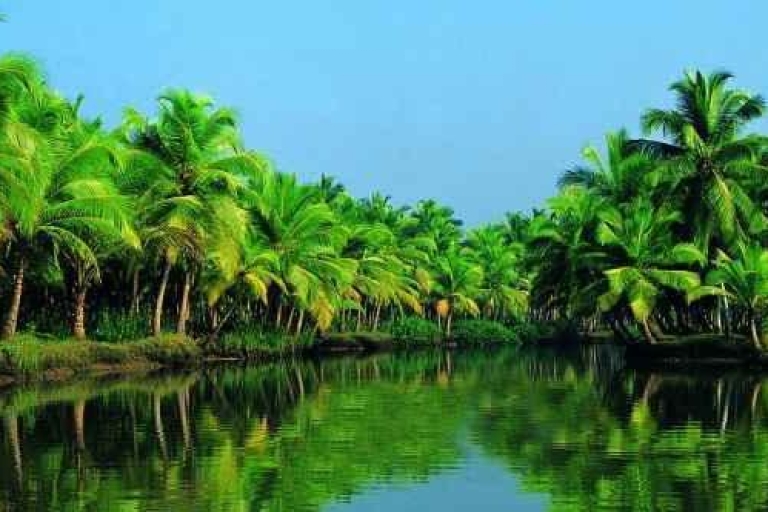 Alleppey / Alappuzha Backwater Canoe (Shikara) Cruise Private Tour with Pickup from Cochin Port