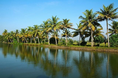 Alleppey / Alappuzha Backwater Canoe (Shikara) Cruise Private Tour with Pickup from Cochin Hotels
