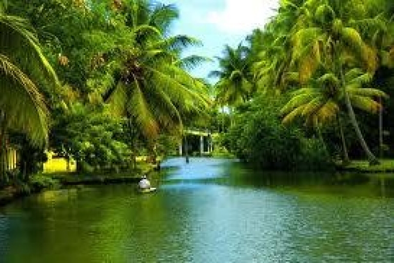 Alleppey / Alappuzha Backwater Canoe (Shikara) CruisePrivétour met pick-up van Cochin Hotels