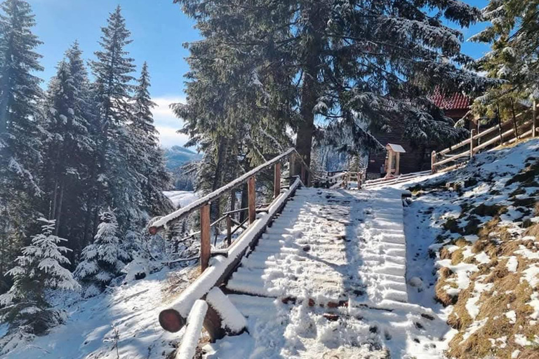 Brașov: Curmătura Chalet, adventure with Mountain Guide