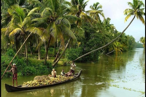 Van Kochi: 2-Day Alappuzha Backwaters Woonboot CruiseTour met pick-up van Cochin Hotels