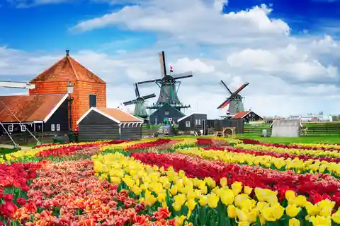 Amsterdam til Zaanse Schans-vindmøller, Volendam & Edam i bil