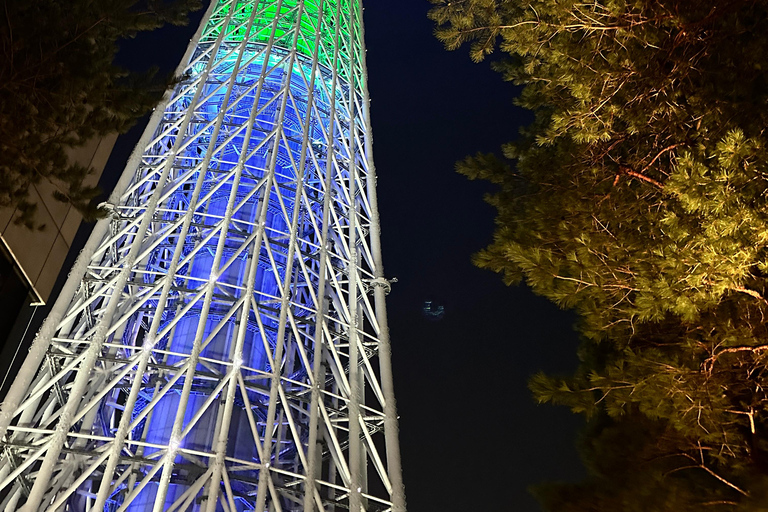 Tokyo: Tour guidato dall&#039;Ing di 2 giorni del Monte Fuji e della città di Tokyo