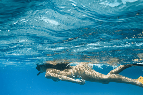 Mallorca Marine reserve: Visit caves, cliffs and snorkeling