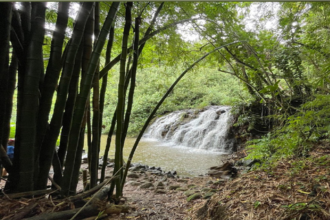 Kauai: Guided Hike and Waterfall Swim Kauai: Waterfall Swim and Hike