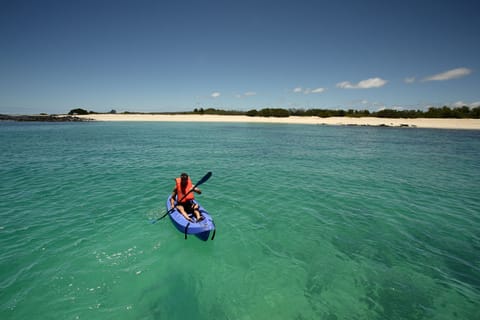 From Santa Cruz: Galapagos, Excursion to Tortuga & Tour