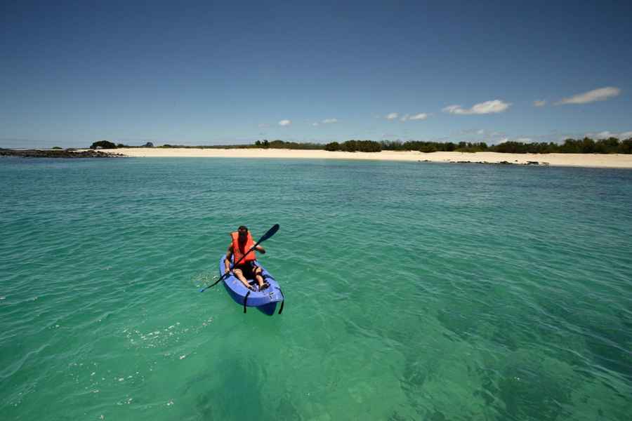 Ab Santa Cruz: Galapagosinseln & Tortuga - Yacht-Tour