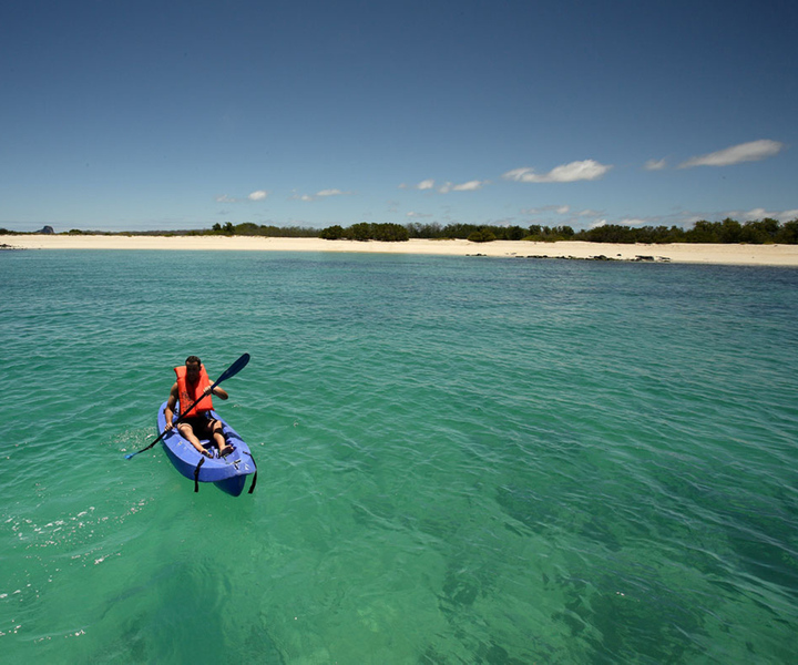 From Santa Cruz: Galapagos, Excursion to Tortuga & Tour