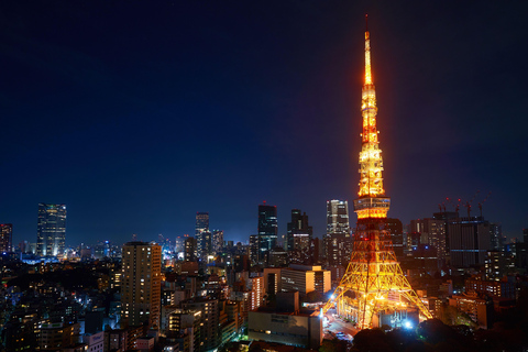 Tokyo: Luxury Private Full-Day City Tour by Alphard Luxury Alphard