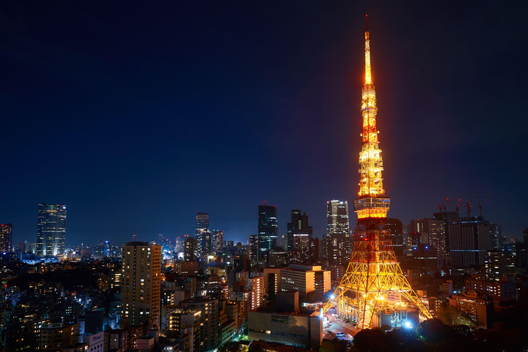 Tokyo: Luxury Private Full-Day City Tour by Alphard Luxury Alphard