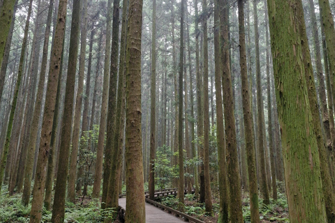 Jeju eiland: Privétour met gids