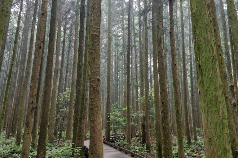 Jeju eiland: Privétour met gids