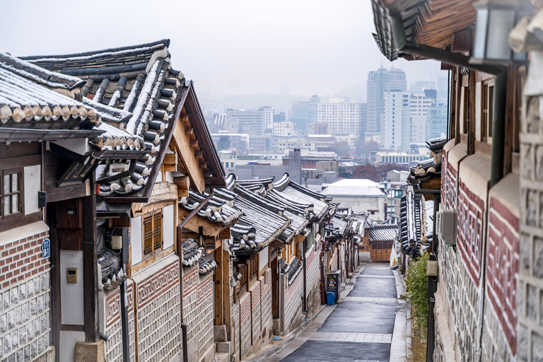 Seoul: Private City Tour with Guide and Photos