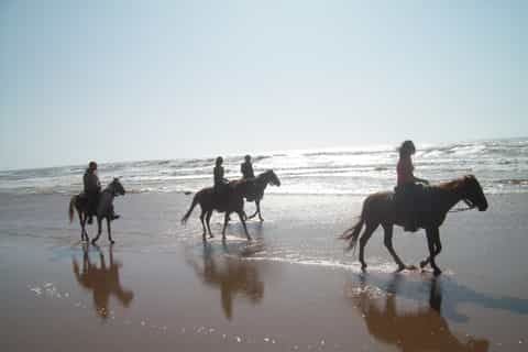 Agadir: Beach and Ranch Horse Riding Tour