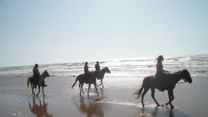 agadir horse ride 2hour beach and mountain tour