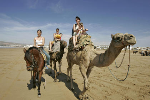 Agadir/Taghazout: Paseo en camello y excursión por el río FlamingoPaseo en camello al atardecer en la playa