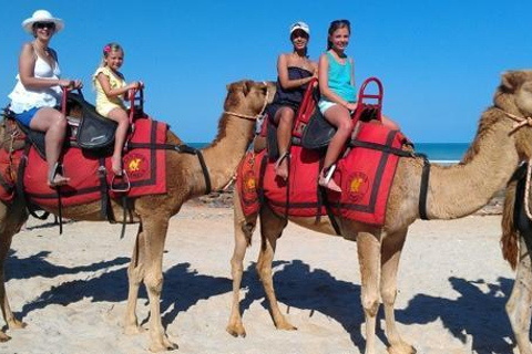 Agadir/Taghazout: Kamelritt und Flamingo-Fluss-TourVon Taghazout aus: Kamelritt