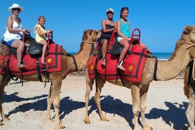 Agadir/Taghazout: Kamelenrit en Flamingo riviertourKameelrit bij zonsondergang op het strand