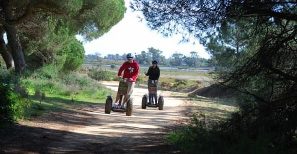 Faro: Ria Formosa Natural Park Segway Tour & Birdwatching