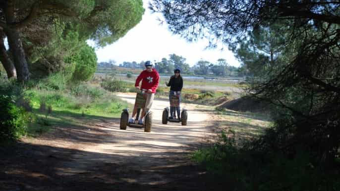 faro ria formosa natural park segway tour birdwatching