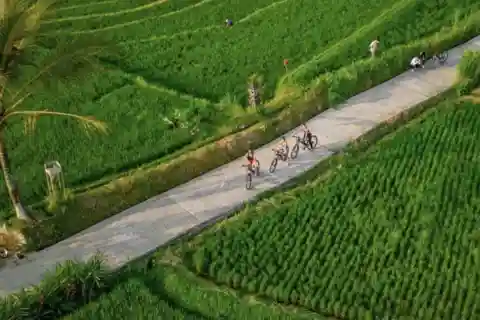 Ubud: Cycling Tour Local Villages, Temple, and Rice Field