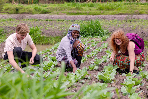 2 Day Rwanda Cultural Tour Where Waste Becomes Hope