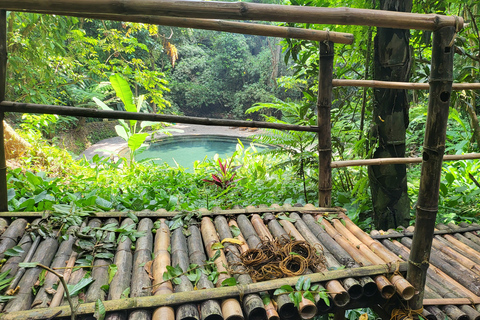 Hidden Valley Springs | Lunch | Taal Volcano Viewing (2in1)