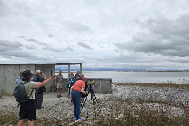 Auckland: Birdwatching, Hiking & Waterfalls Tour