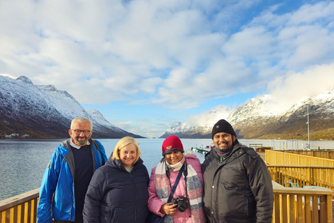 De Tromsø: Vida selvagem no Ártico e passeio turístico pelos fiordes de carro