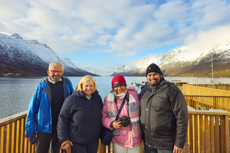 De Tromsø: Vida selvagem no Ártico e passeio turístico pelos fiordes de carro