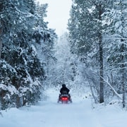 Kiruna : excursion en motoneige en petit groupe avec collations