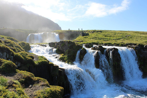 Tour per piccoli gruppi della penisola di Snaefellsnes e di KirkjufellPenisola di Snaefellsnes e Kirkjufell: tour piccoli gruppi