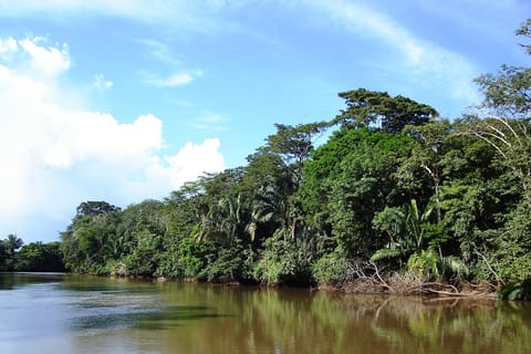Guanacaste: Palo Verde National Park Jungle River Cruise