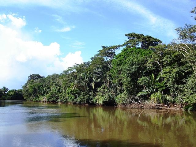 Guanacaste-junglebootcruise en koffietour van een hele dag
