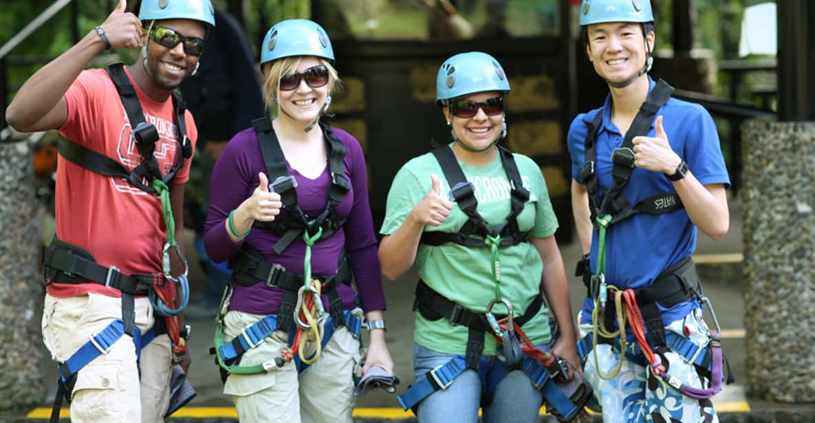 Guanacaste: 5-Hour Rainforest Canopy Zipline Tour