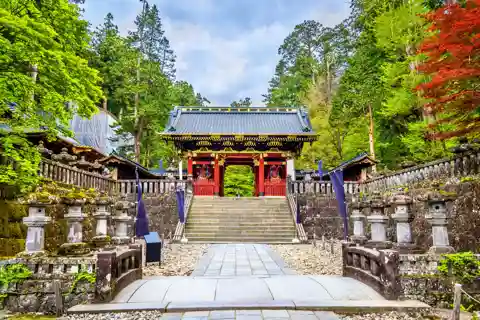 Depuis Tokyo : Visite d'une journée privée des hauts lieux de Nikko