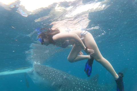 Oslob whaleshark watching &amp; inambakan falls &amp; sardines run