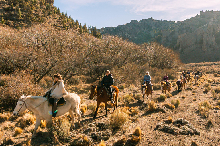 Patagonian Experience – Horseback Riding & Traditional Asado My Patagonian Experience – Horseback Riding & Traditional Asado