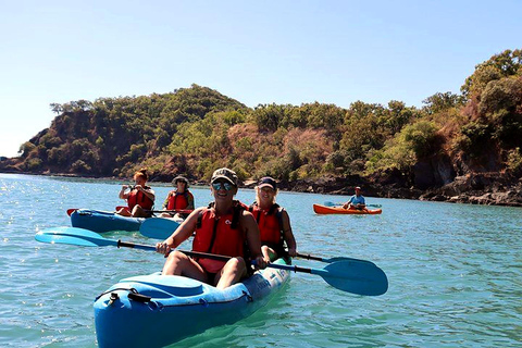 Palm Cove: Guided Half Day Turtle Kayak Tour