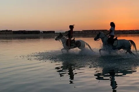 Sharm El-Sheikh : Horse Riding on the Beach