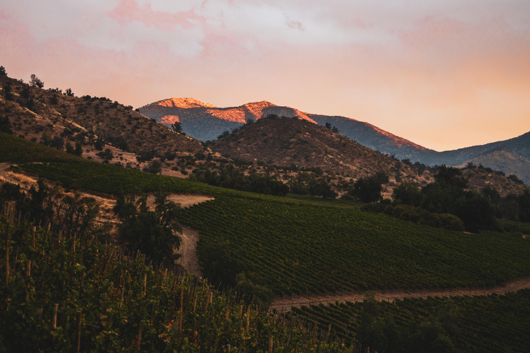 Santiago: El Principal Premium Winery in the Maipo Valley