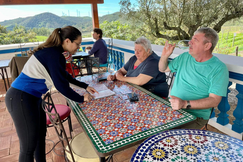 Albufeira, Olhão, Faro: visit to a vineyard, free time in Silves